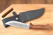 Beautiful hunting knife and a case for the knife.