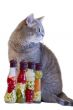 Gray cat with yellow eyes near decorative bottles with canned ve