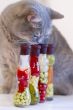 Gray cat with yellow eyes near decorative bottles with canned ve