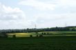 On the rape field