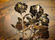 The shiny metal forged roses, handmade