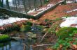 Winter is beginning at mountain river.