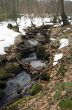 River bank and in clear water of stream. Winter is beginning at 