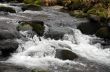 River bank and in clear water of stream. Winter is beginning at 