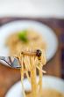 Italian pasta and mushroom sauce 