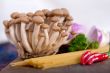 Italian pasta and mushroom sauce ingredients