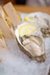 Japanese style oyster and sea urchin