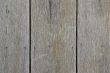 Old wooden door - background