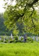 Countryside cemetery with green grass and trees