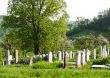 Countryside cemetery with green grass and trees