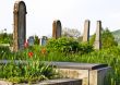 Countryside cemetery with red tulips