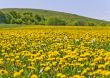 Beautiful countryside landscape in Transylvania