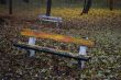 Painted bench II.