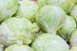 Background with fresh cabbage