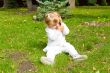 Cute infant with cellular
