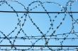 Metal barbed wire
