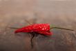 dry red chili peppers 