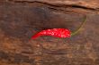 dry red chili peppers 