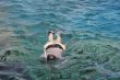 Woman photographer diving into water of Red sea