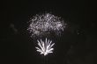 Colorful firework in the black night sky