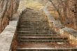 Old stone stairs leading up in autumn park