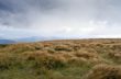 Autumn evening mountain plateau landscape (Carpathian, Ukraine) 