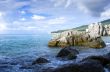 Stormy sea at sunrise in the bay Chekhov