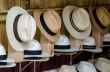 Panama hats