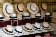 Panama hats