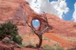 Monument valley ear with tree in foreground.