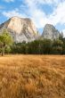 half dome Yosemite national park