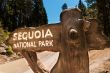 Sequoia sign