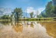 Yosemite river view