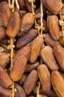 Tunisian dates- background
