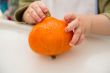 Small orange pumpkin in the baby`s hands