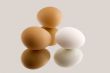 Brown and white eggs