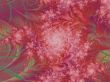 Fractal Pink Flower