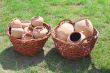 Ancient clay pots in basket