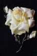 Handmade yellow rose from ribbon