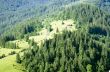 evening mountain plateau landscape (Carpathian, Ukraine) 