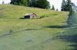 evening mountain plateau landscape (Carpathian, Ukraine) 
