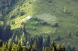 evening mountain plateau landscape (Carpathian, Ukraine) 