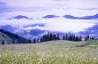 evening mountain plateau landscape (Carpathian, Ukraine) 