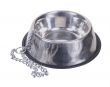 Empty Dog Bowl and Chain