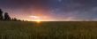 Colorful sunset over wheat field. 