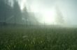 evening mountain plateau landscape (Carpathian, Ukraine)