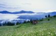 evening mountain plateau landscape (Carpathian, Ukraine)