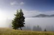 evening mountain plateau landscape (Carpathian, Ukraine)