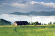 evening mountain plateau landscape (Carpathian, Ukraine) 