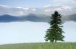 evening mountain plateau landscape (Carpathian, Ukraine) 